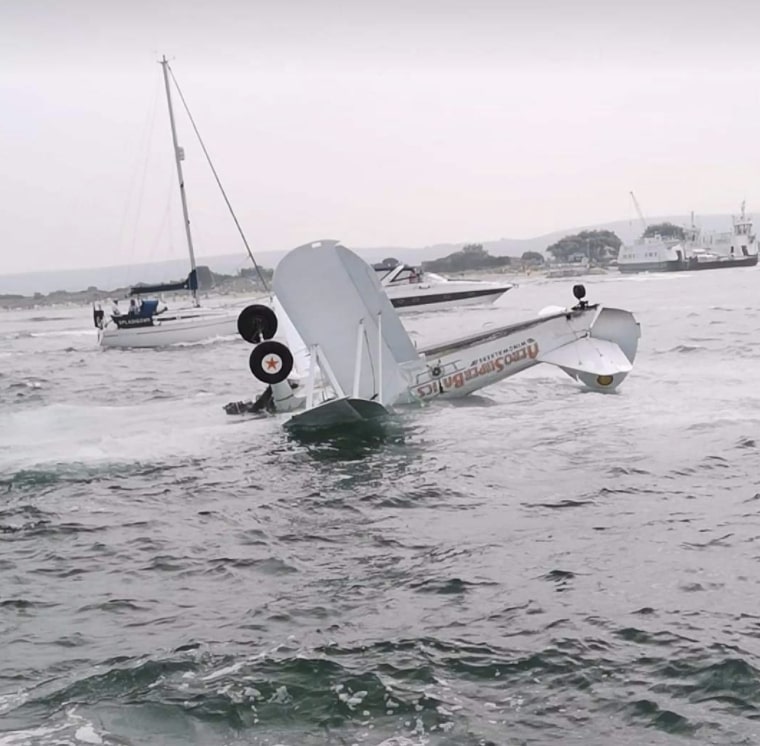 The plane's pilot has been hailed a hero