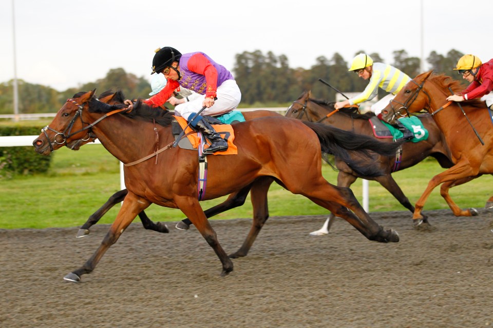 The Queen cheered on her horse Fresh Fancy from Balmoral as it ran to victory at Kempton Park