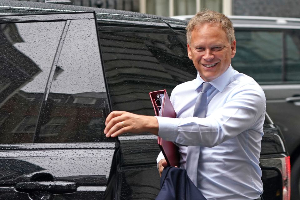 Grant Shapps said: 'Other great ideas are having autonomous shipping - you can have the famous booze cruise autonomously driven backs and forwards over the channel'