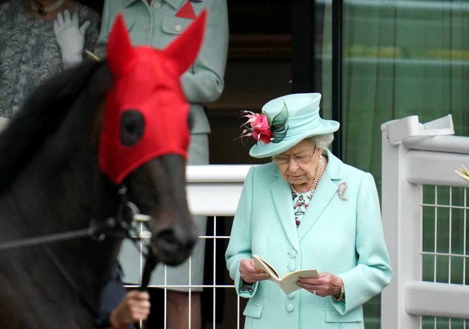 An insider said: 'The Queen rarely misses a race in which one of her horses is racing and has a television so she can catch the drama'