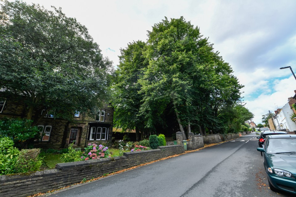 Neighbours who live in the house on the left argue Jon Rose’s huge trees should be chopped