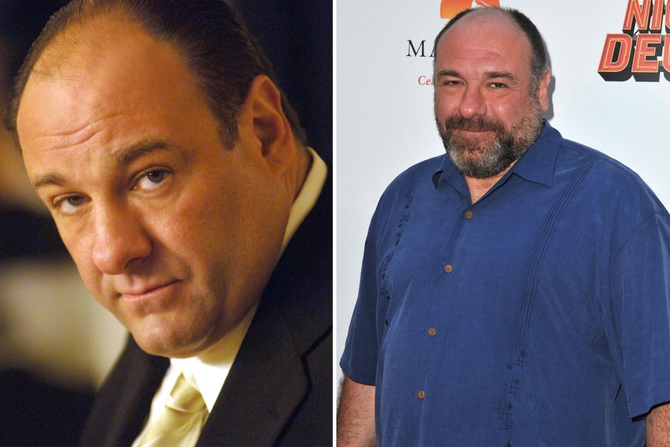 James Gandolfini starred as mob boss Tony Soprano