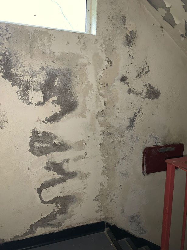 Rhiann and Jason Blair have been living in a mouldy flat for six years