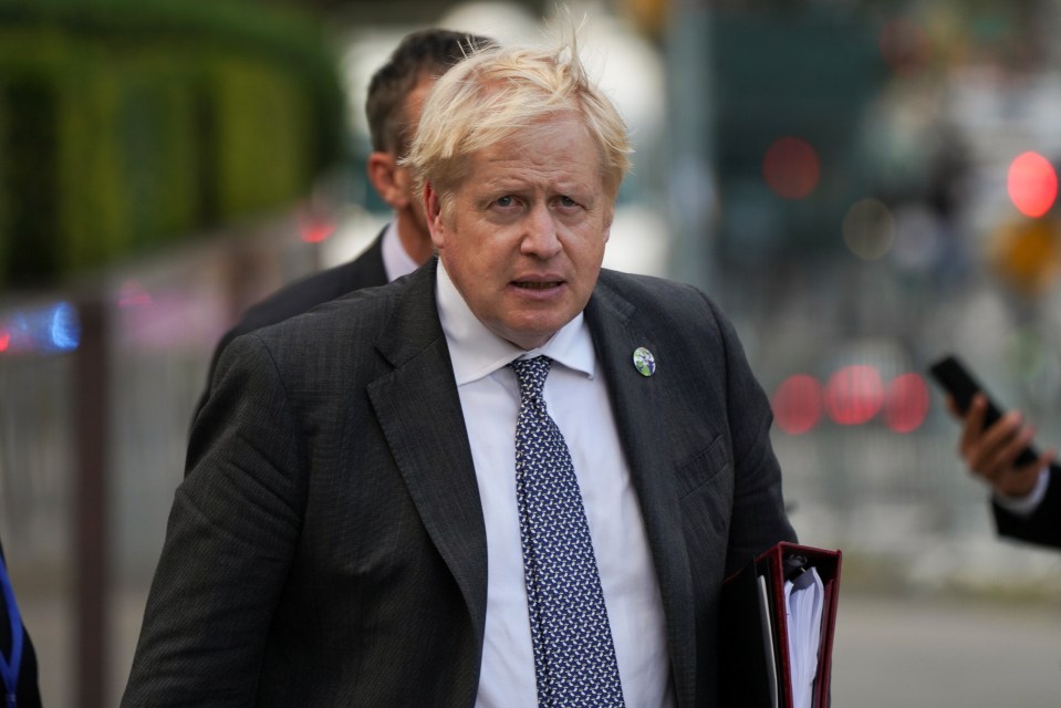 Boris Johnson must pump billions into ‘a new deal for kids’ after Covid or risk a generation of failed and unhappy teens, the new children’s commissioner has warned