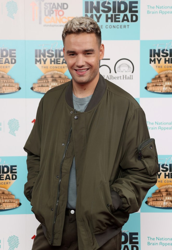 Liam Payne admitted that the lads from One Direction and The Wanted have now put their differences firmly behind them