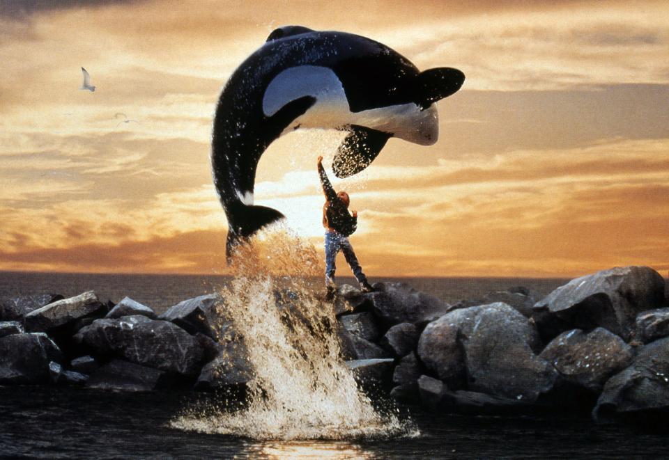 Keiko starred in Free Willy but his own story didn't have such a happy ending