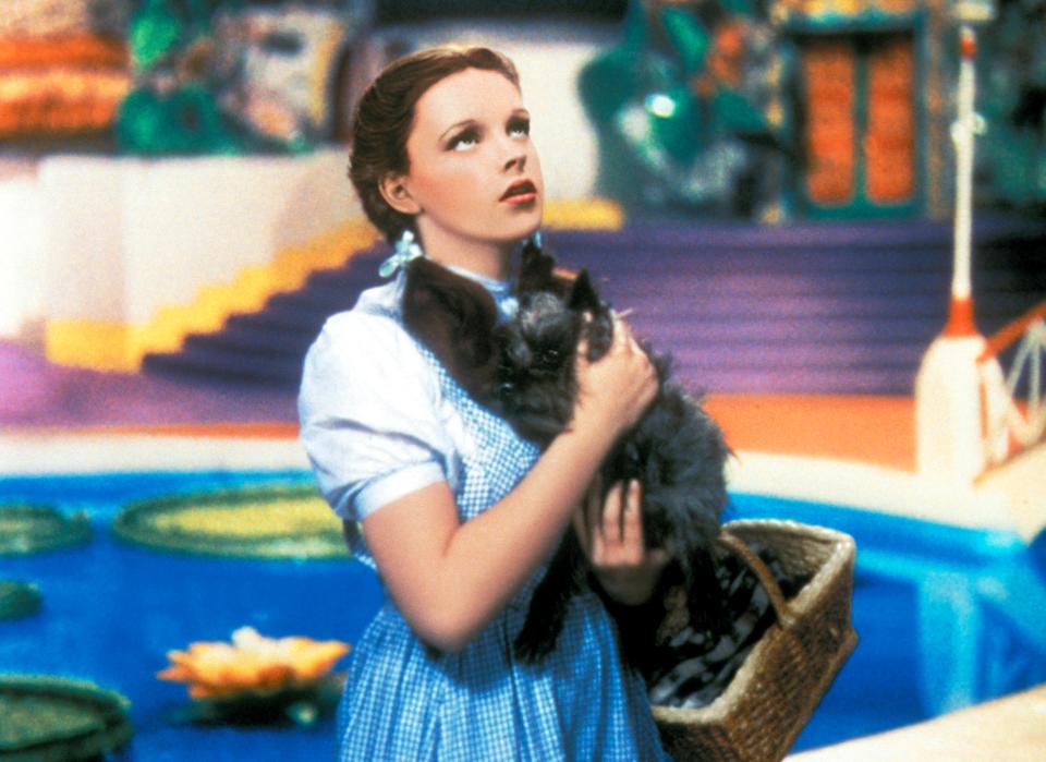 Judy Garland with Toto, played by Terry the Carin Terrier, in The Wizard of Oz