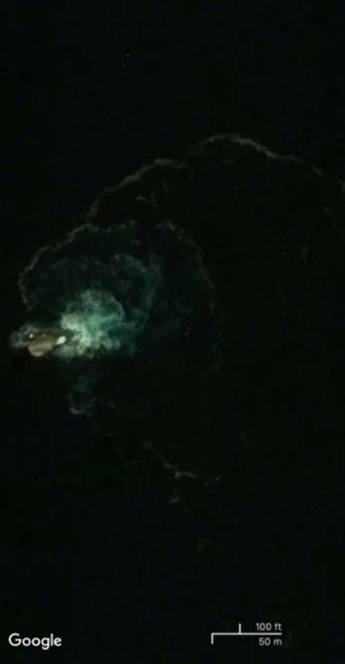 The strange image can be seen on Google Earth