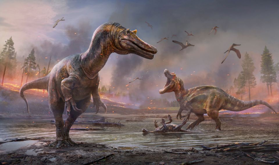 Two new species of dinosaur that may have once roamed what is now the Isle of Wight 125million years ago have been discovered