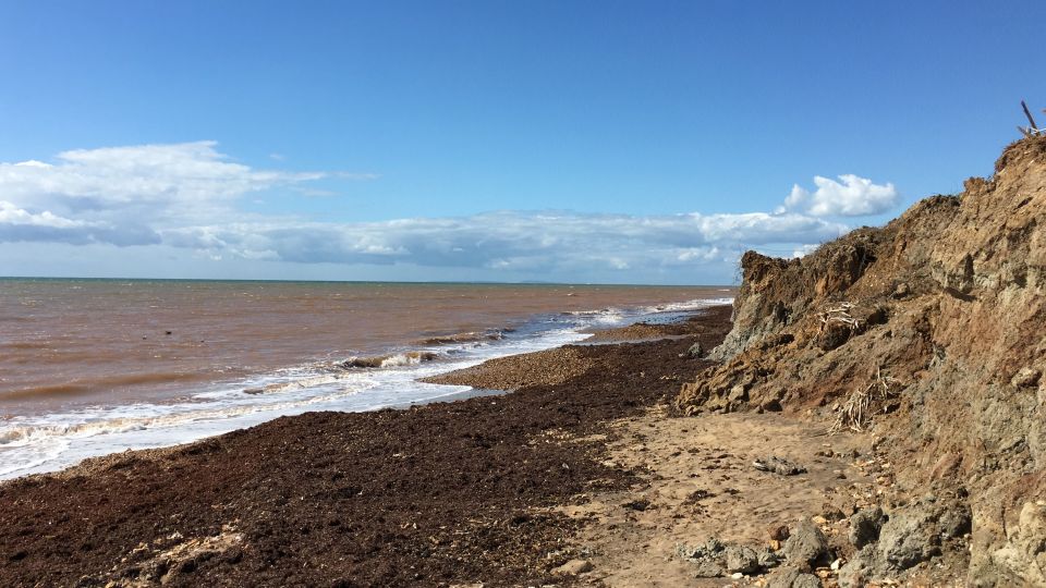 Fossil-hunters at Brighstone beach also discovered another carnivorous reptile of a similar size, named 'Riparovenator milnerae'