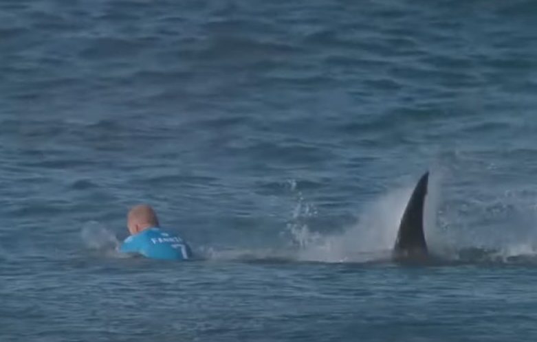 The moment the great white shark attacked surfer Mick Fanning