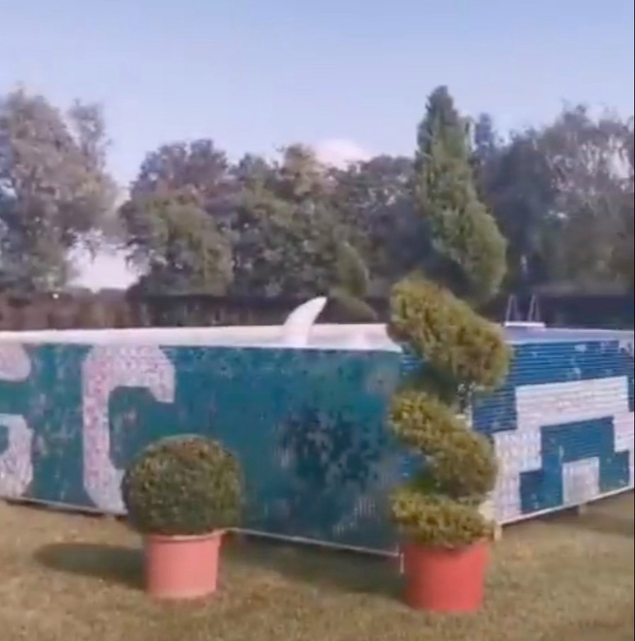 The pool is surrounded by potted plants and exotic twirly trees