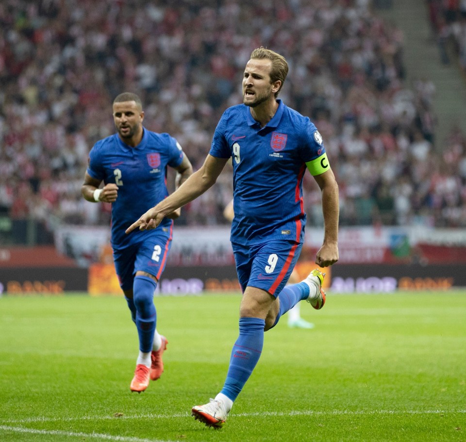 A rocket from Harry Kane looked to have secured a crucial win in Poland