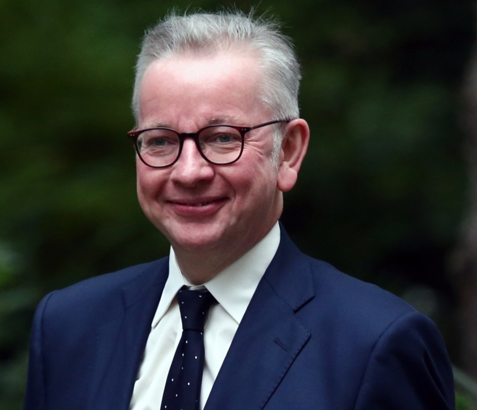 Michael Gove will lead the Department for Levelling Up, Housing and Communities