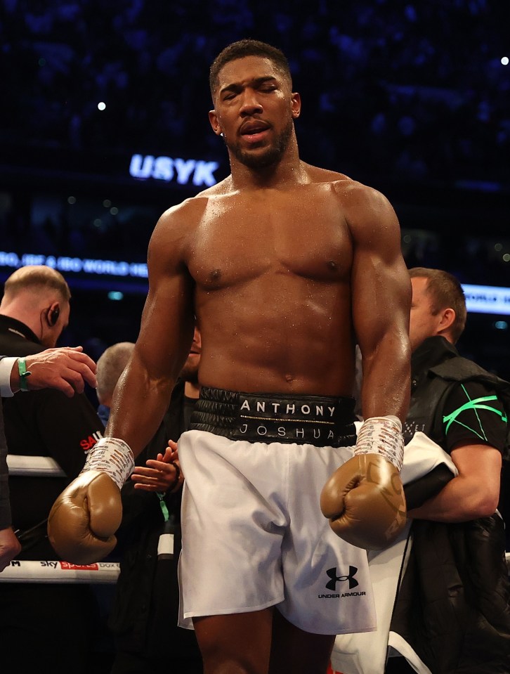 Joshua was struggling towards the end as his opponent took the later rounds