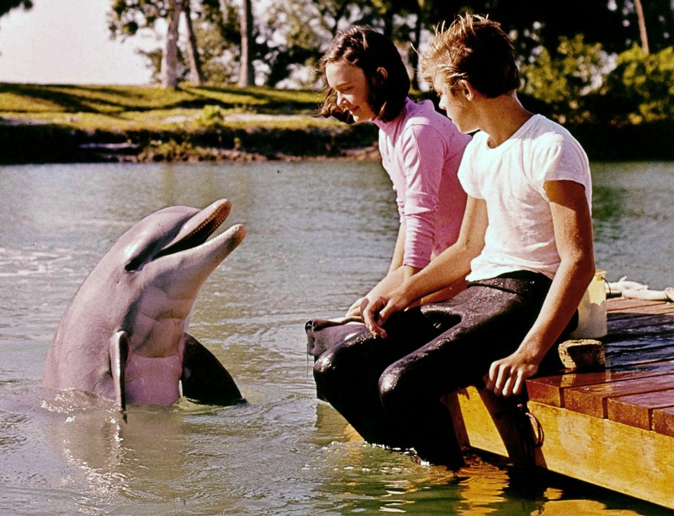 Kathy the bottlenose dolphin in the 1964 flick Flipper's New Adventure