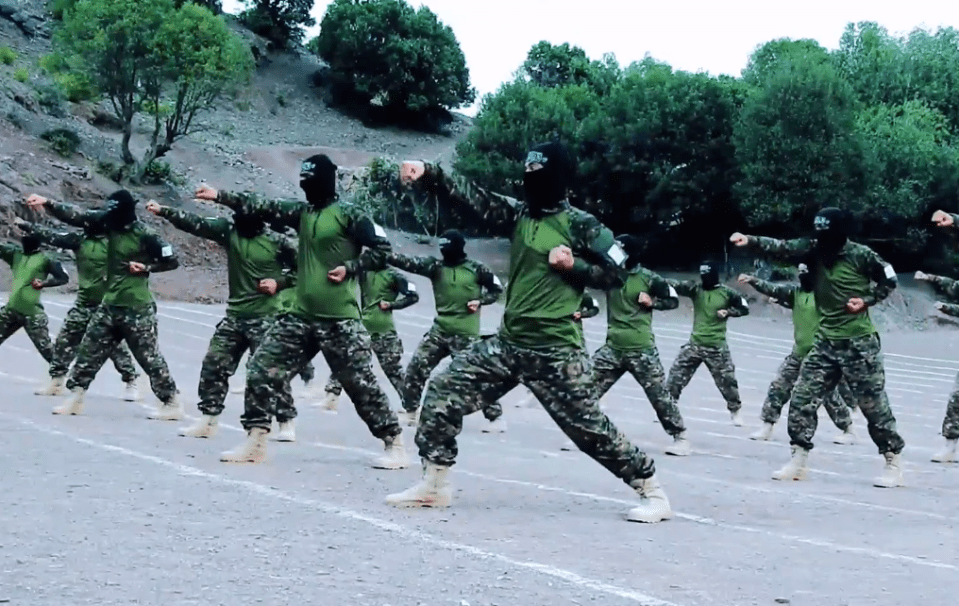 The fighters shadow box to impress their commanders during the parade