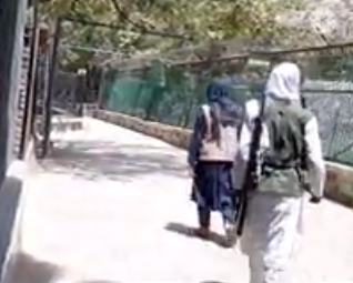 Taliban fighters carrying assault rifles walk through Kabul Zoo