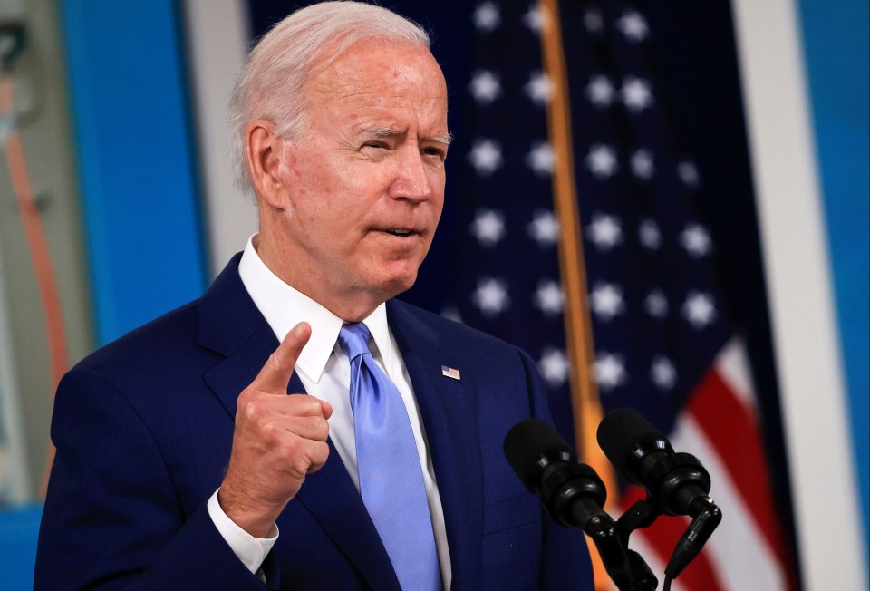 Joe Biden's is pondering appointing a crypto despot to handle Bitcoin and its rivals