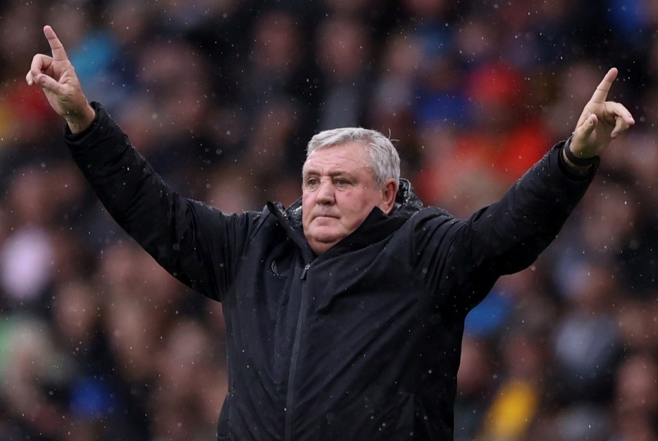 Steve Bruce is determined to prove he's the man for Newcastle