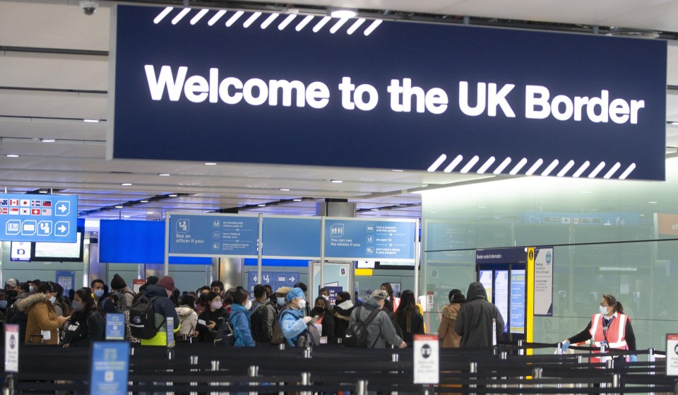 The scientists were initially against closing the airports as thousands upon thousands of people flooded into Heathrow and Gatwick, some of them infected