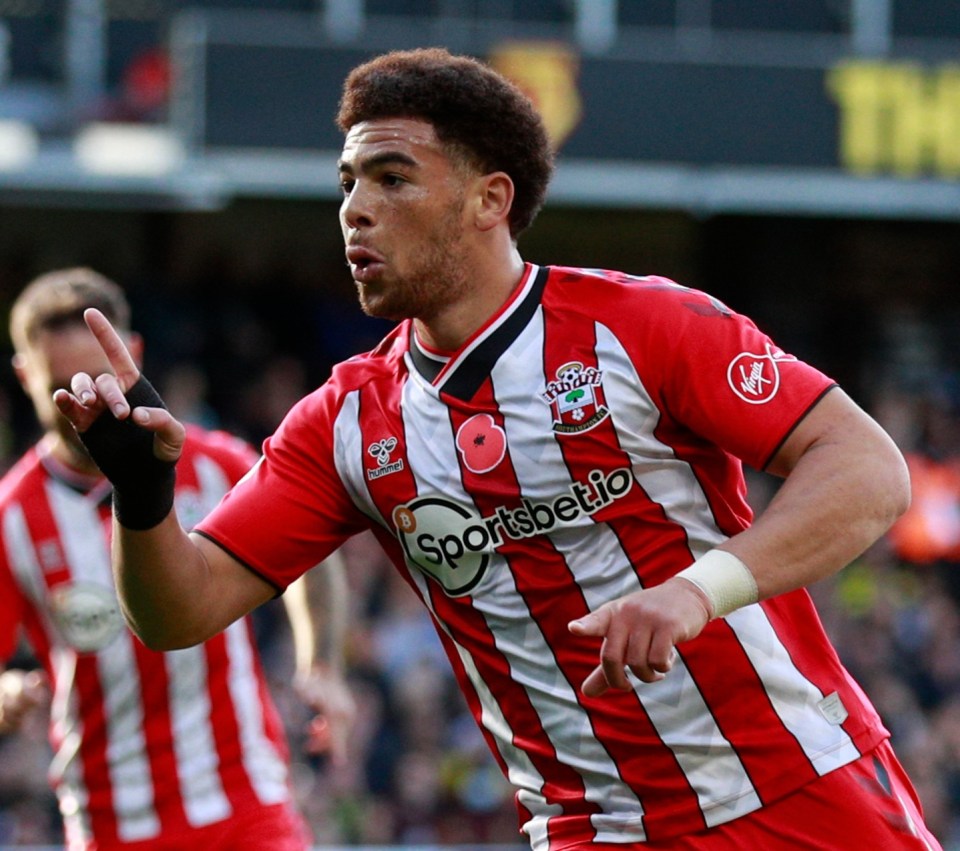 A brilliant strike from Che Adams was the difference as Southampton beat Watford