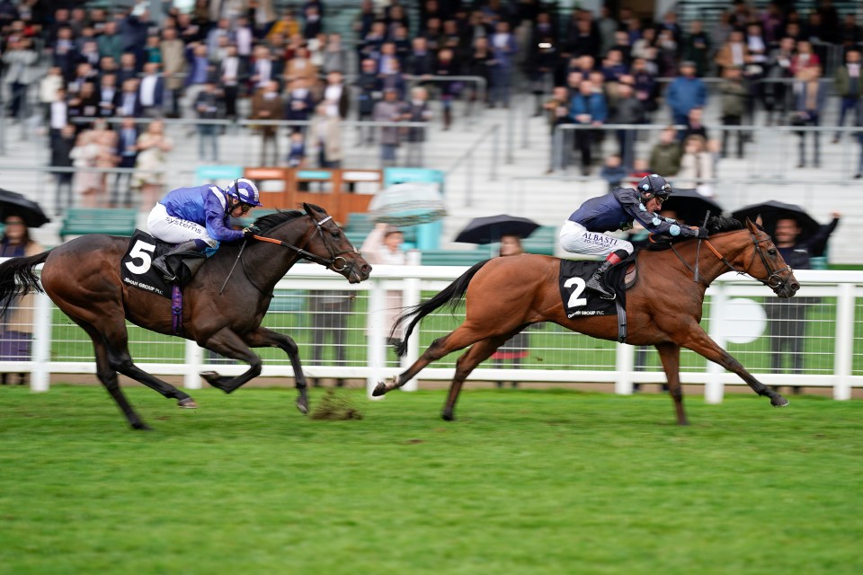 The Champion Stakes is taking place at Ascot