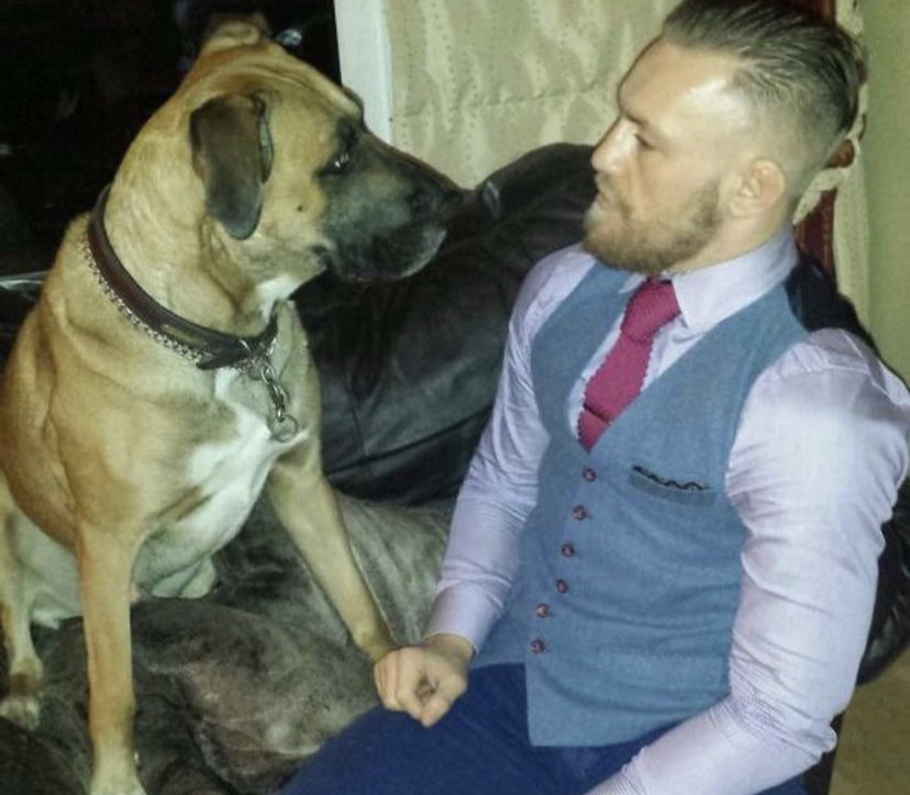 The gentle dog was with McGregor before his rise to fame in the UFC