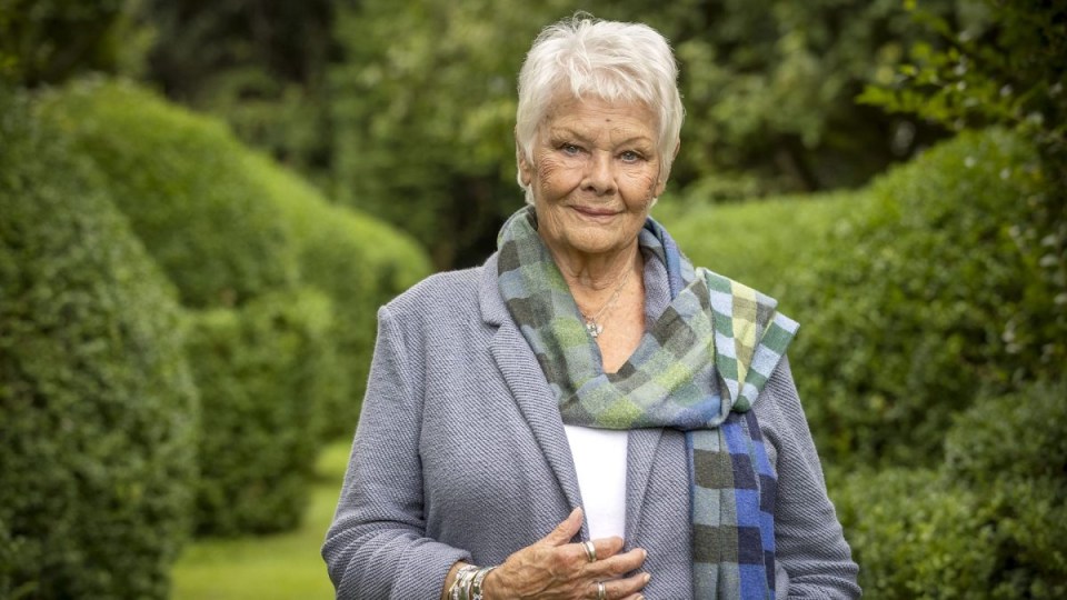 Judi Dench makes an incredible discovery