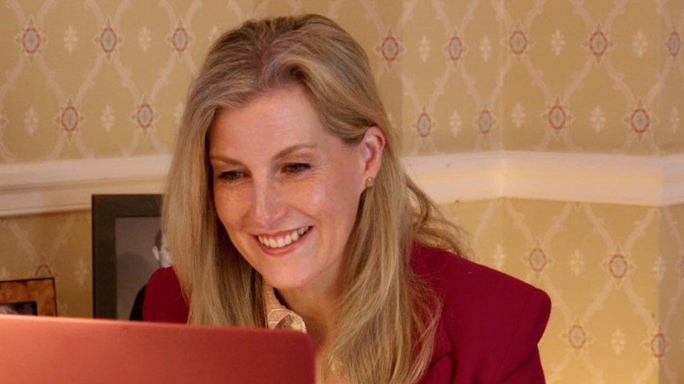 The Countess of Wessex joined an online discussion to launch the Menopause Workplace Pledge scheme