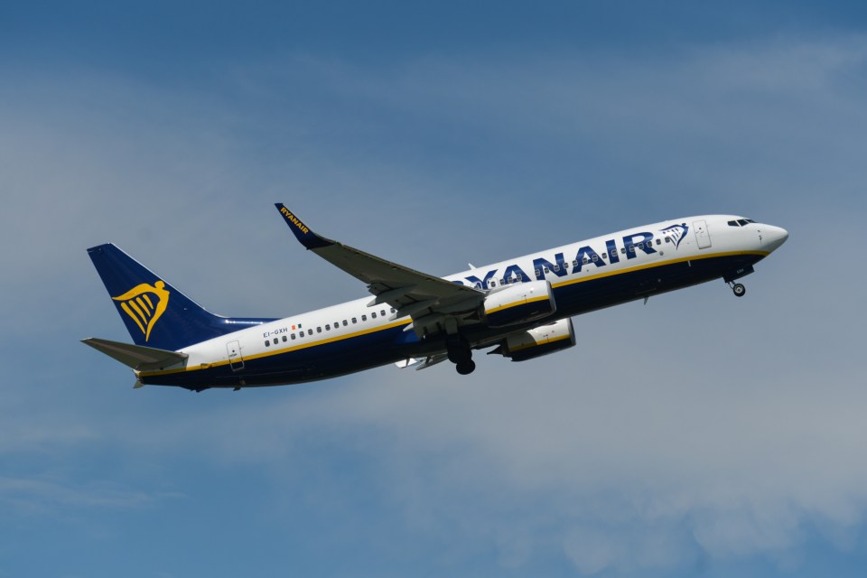 Andrian chased his refund for over a year before he decided to sue Ryanair for his cash back