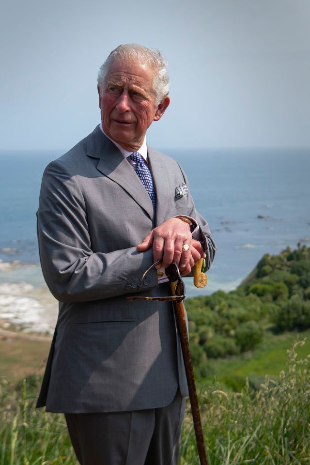 Prince Charles says if everyone took small steps to make change, it could have a huge impact