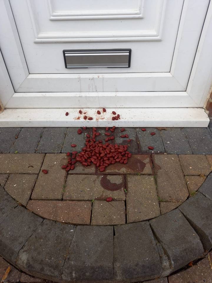 Dumping a tin of kidney beans on your front doorstep is another way burglars can identify you as a potential target