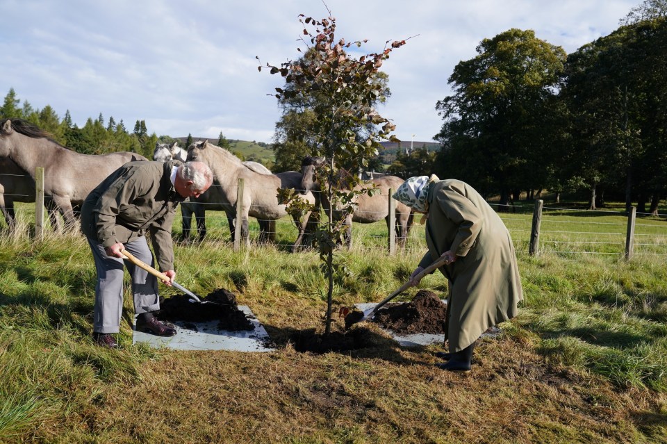 The pair were seen shovelling soil