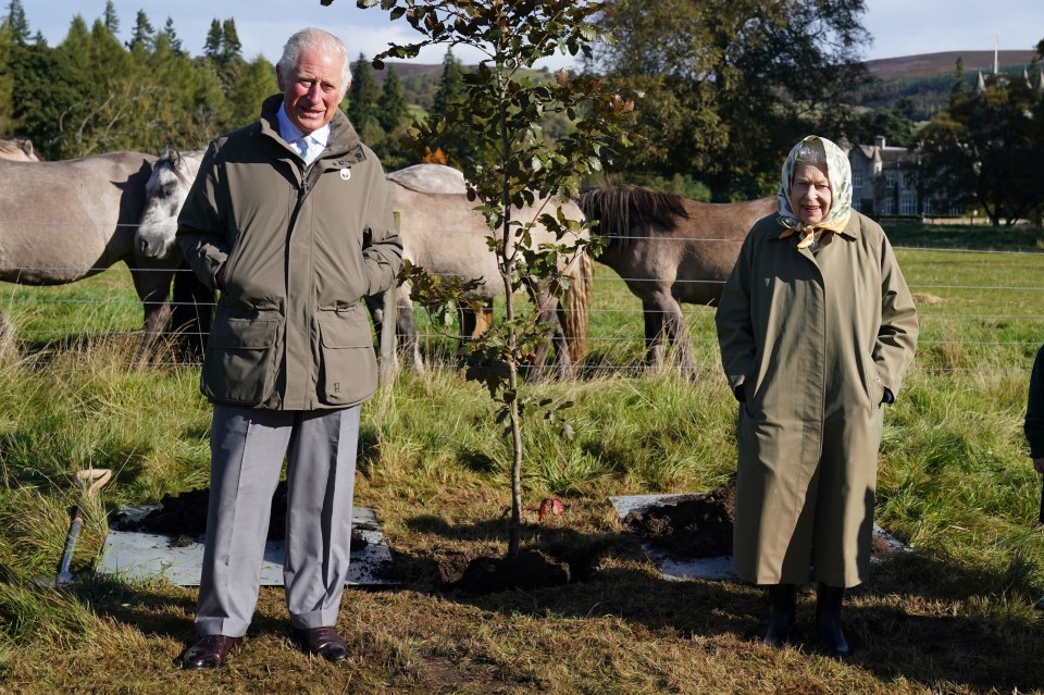 The Prince of Wales quipped: “Let’s hope it will survive”