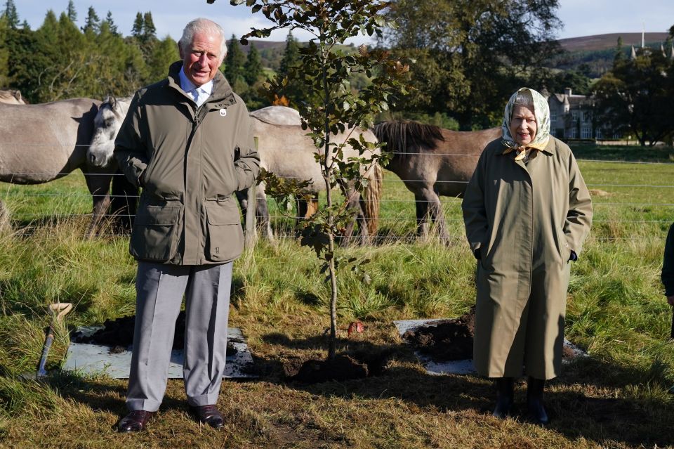 The Prince of Wales quipped: "Let's hope it will survive"