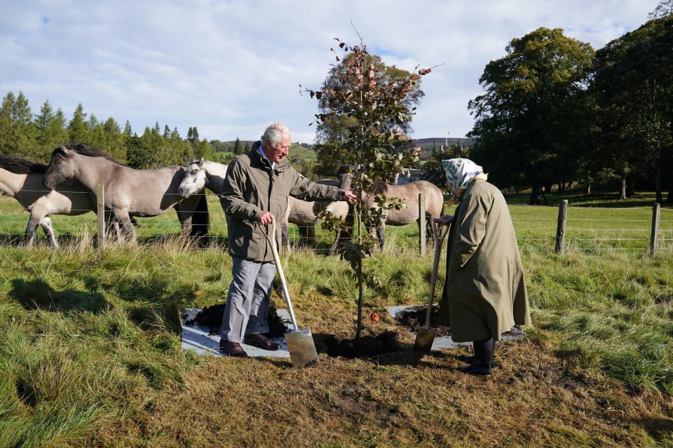 The Queen planted a tree with her son Prince Charles to mark her Platinum Jubilee