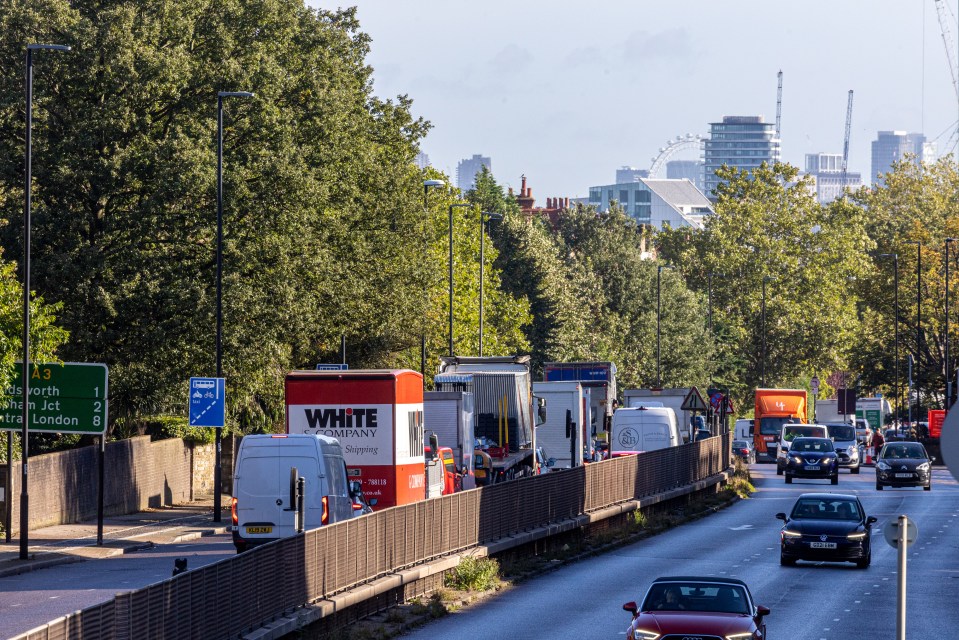 The protesters caused disruption with their demonstrations on Wandsworth Bridge