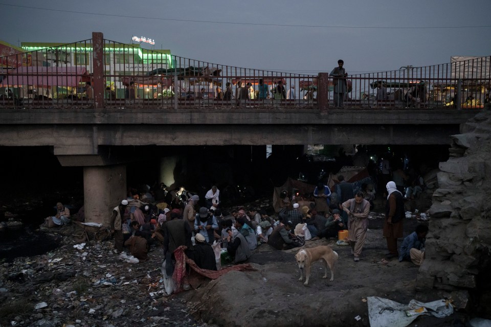 Afghans gather under a bridge to take drugs away from the view of the Taliban