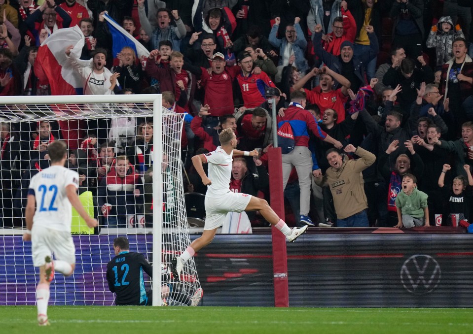 Ward's own goal handed Czech Republic the lead in the crucial World Cup qualifier