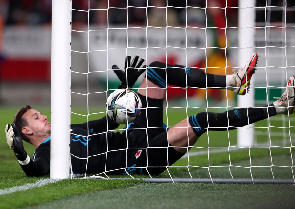 Danny Ward's calamitous own goal was a horror moment for Wales as they fell behind