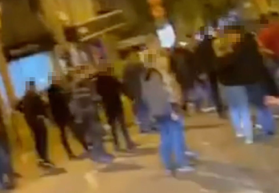 Dozens of men could be heard egging the fight on