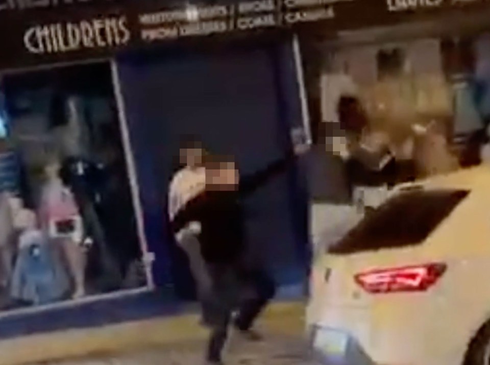 A mass brawl broke out in the moments before two young men were stabbed