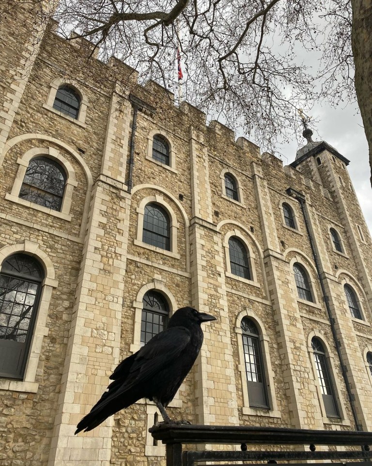 Megan moved to the tower during lockdown