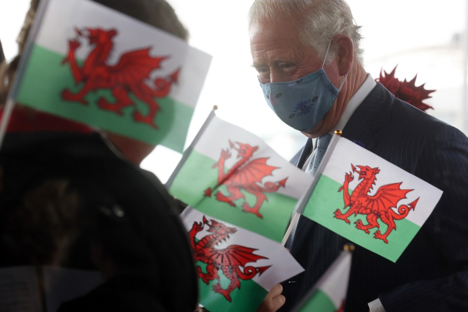 Prince Charles smiled underneath his mask as Welsh flags were waved