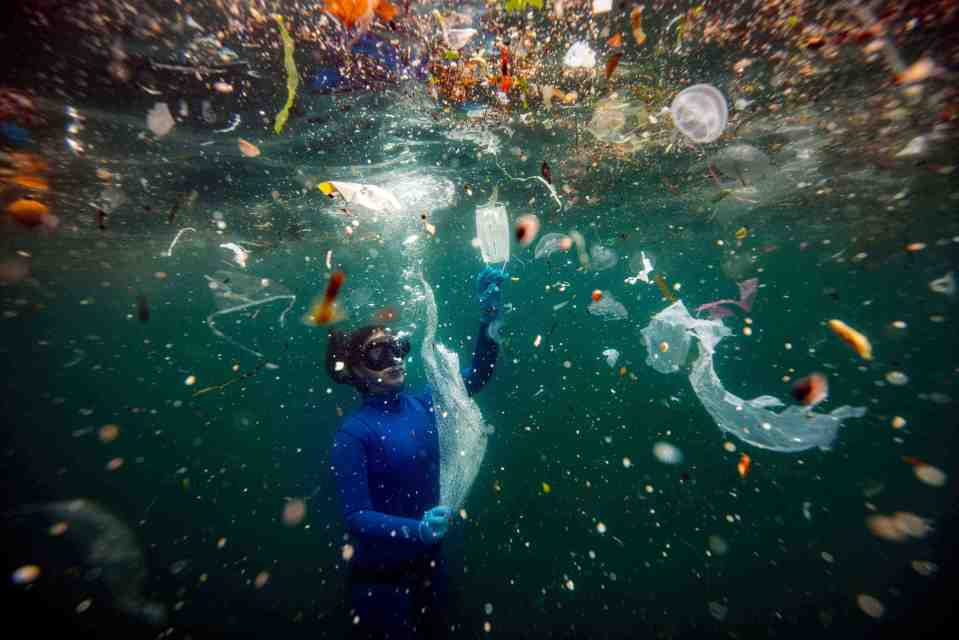 The competition also saw a photo of a swimmer retrieving a facemask from the water in a mass of floating litter