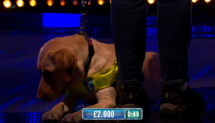 Rob was joined on the show by his guide dog, Bobby