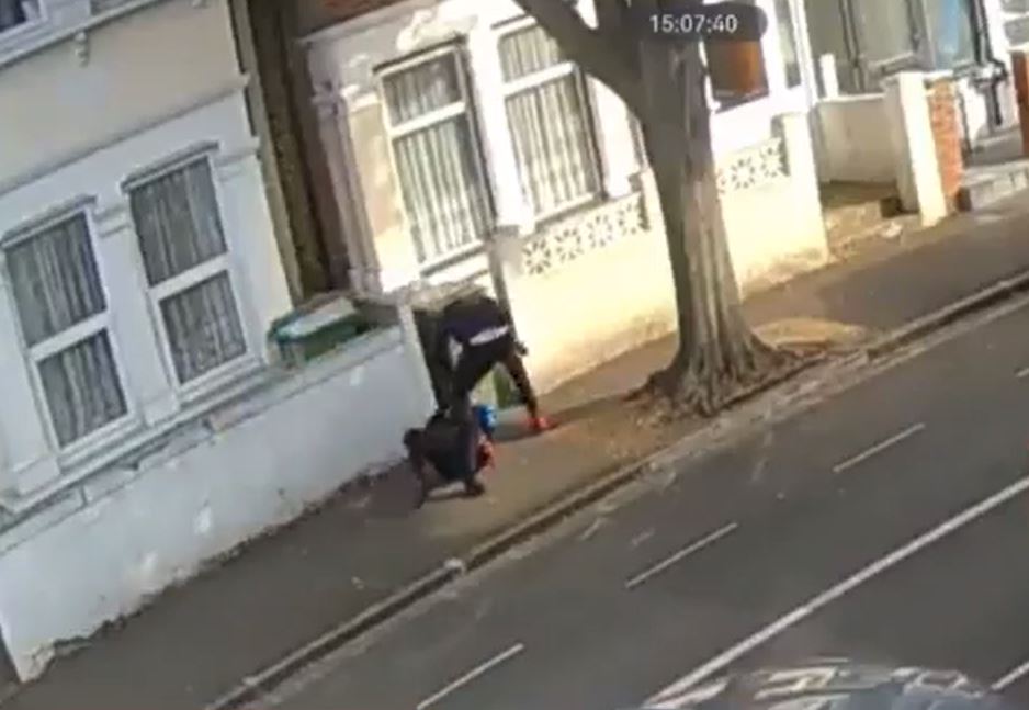 The terrified woman bravely attempts to fend off the attacker as she screams