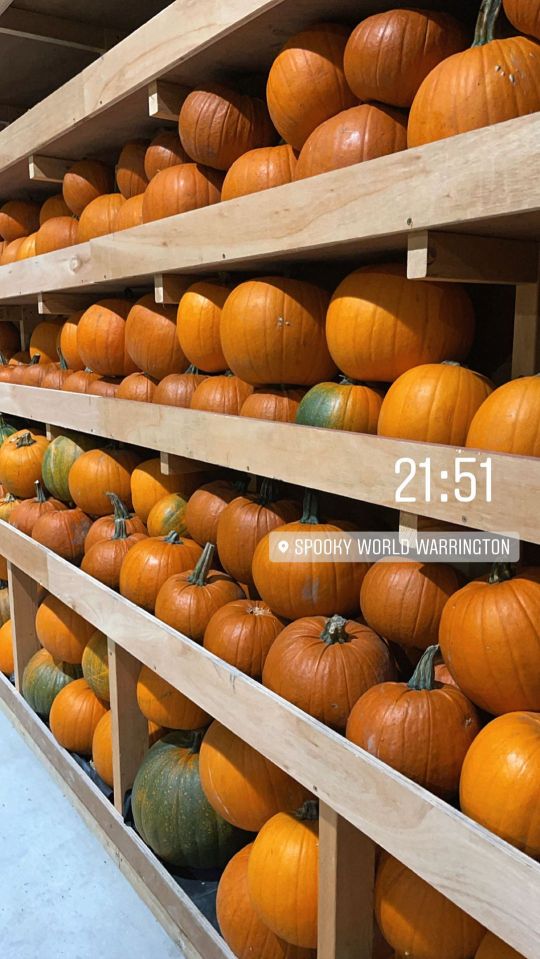 There were plenty of pumpkins for the thrill seekers to pick up