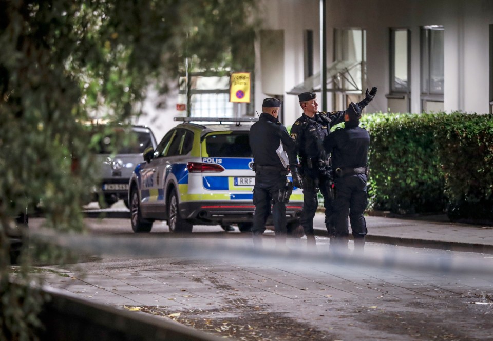 Graphic video appeared to show Einar's body at the murder scene in a Stockholm suburb